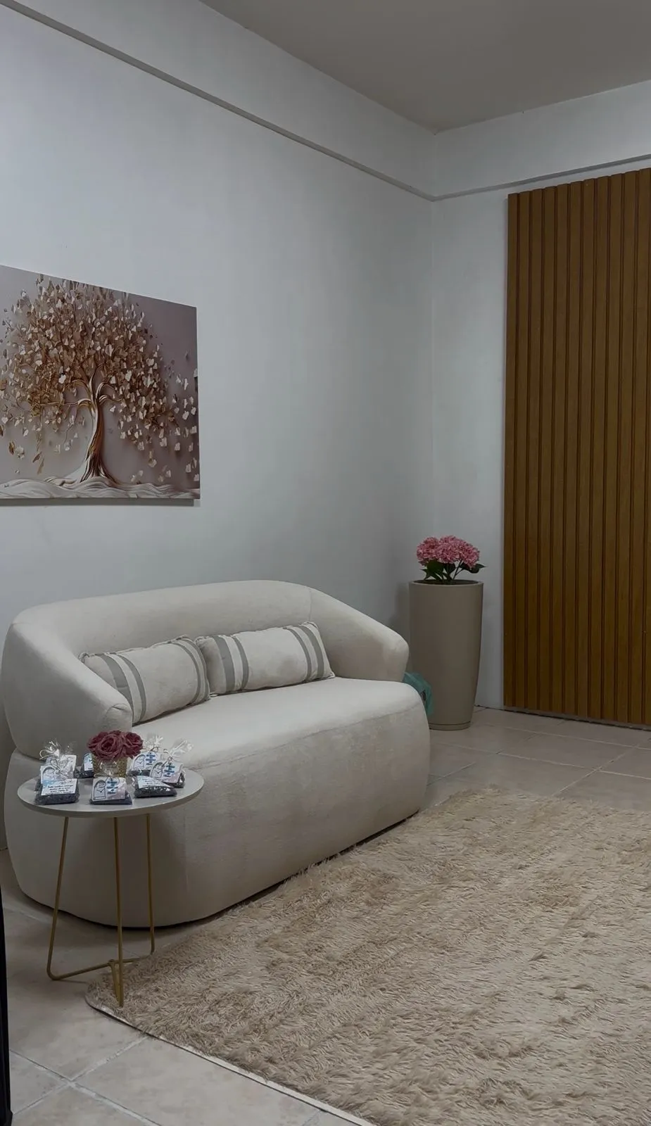 Consultório Camila Rocha - Ambiente acolhedor